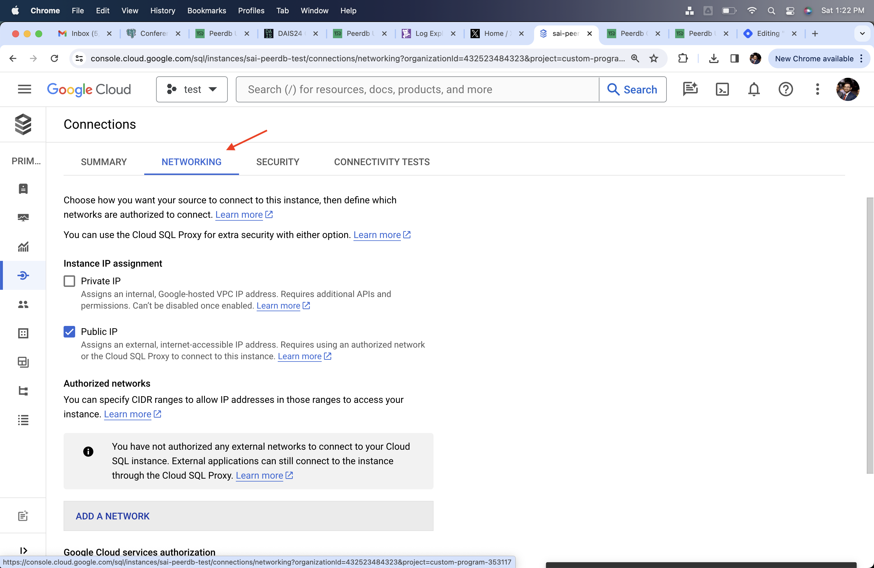 Подраздел Networking в Cloud SQL
